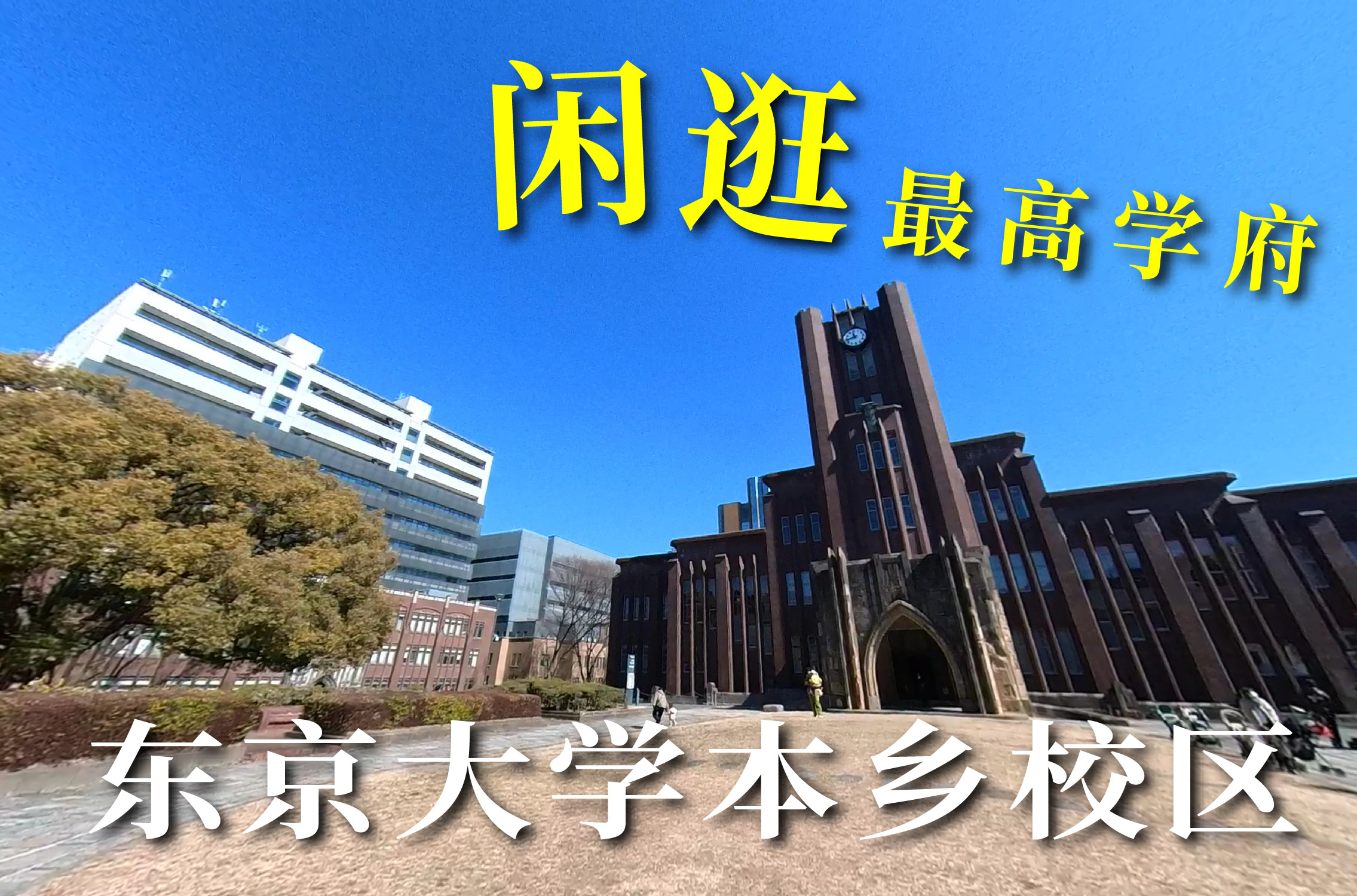 VINED-旅游资讯-东京大学